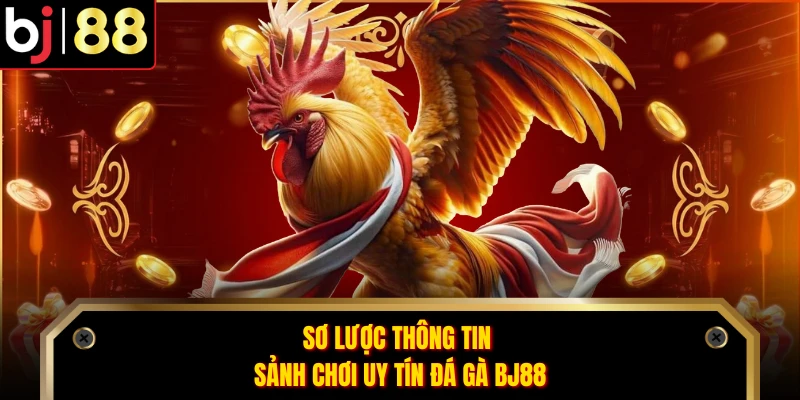 Sơ lược thông tin sảnh chơi uy tín đá gà BJ88